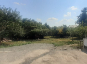 Satılır 6 sot torpaq Qəbələ