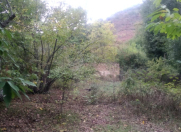 Satılır 5 sot torpaq Qəbələ