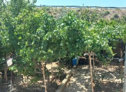 Satılır 3 otaqlı 71 m2 həyət evi Sumqayıt