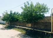 Satılır 6 sot torpaq Buzovna