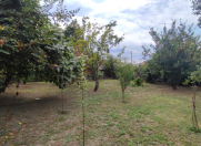 Satılır 5 sot torpaq Qax