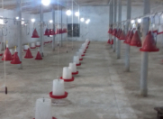 İcarəyə verilir 6 otaqlı 5200 m2 obyekt Abşeron r.