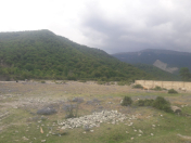 Satılır 8 sot torpaq İsmayıllı