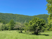 Satılır 57 sot torpaq Qəbələ