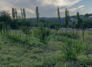 Satılır 12 sot torpaq Qusar