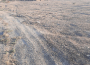 Satılır 25 sot torpaq Siyəzən