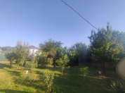 Satılır 5 sot torpaq Qəbələ