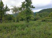 Satılır 16 sot torpaq Qəbələ