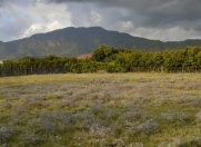 Satılır 19 sot torpaq İsmayıllı