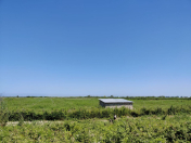 Satılır 300 sot torpaq Xaçmaz