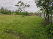 Satılır 45 sot torpaq Qəbələ