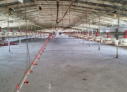 Satılır 2 otaqlı 2400 m2 obyekt Hövsan