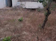 Satılır 6 sot torpaq Sumqayıt