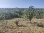 Satılır 10 sot torpaq Quba