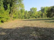 Satılır 6 sot torpaq Astara