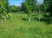 Satılır 20 sot torpaq Balakən