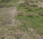 Satılır 6 sot torpaq Xaçmaz