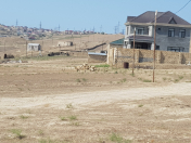 Satılır 6 sot torpaq Xırdalan