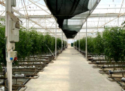 Satılır 3 otaqlı 500 m2 obyekt Xəzər r.