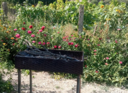 İcarəyə verilir 3 otaqlı 90 m2 həyət evi Qusar