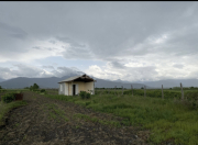 Satılır 562 sot torpaq Zaqatala