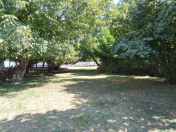 Satılır 12 sot torpaq Qəbələ