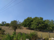 Satılır 12 sot torpaq İsmayıllı