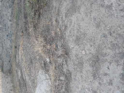 Satılır 4 sot torpaq Gəncə