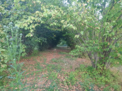 Satılır 26 sot torpaq İsmayıllı