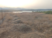 Satılır 15 sot torpaq Masallı