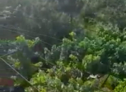 Satılır 18 sot torpaq Sumqayıt