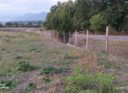 Satılır 230 sot torpaq İsmayıllı