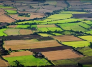 Satılır 6 sot torpaq Gəncə