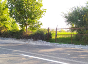 Satılır 30 sot torpaq Qəbələ