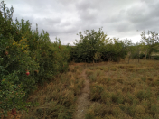 Satılır 5 otaqlı 457 m2 obyekt Qobustan