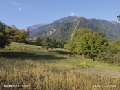 Satılır 40 sot torpaq Quba