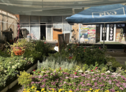 Satılır 1 otaqlı 60 m2 obyekt Xırdalan