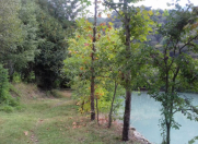 Satılır 200 sot torpaq İsmayıllı