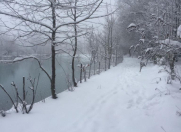 Satılır 50 sot torpaq İsmayıllı