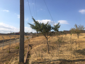 Satılır 12 sot torpaq Şamaxı