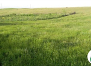 Satılır 15 sot torpaq Qusar