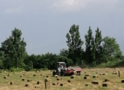 Satılır 400 sot torpaq Qəbələ