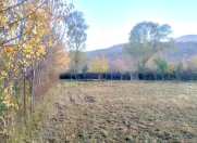 Satılır 11 sot torpaq Quba