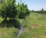 Satılır 2220 sot torpaq Qəbələ