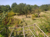 Satılır 3.5 sot torpaq Zaqatala