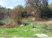 Satılır 7 sot torpaq Qusar