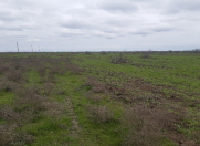 Satılır 1900 sot torpaq Yevlax