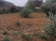 Satılır 6 sot torpaq Şəki
