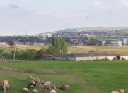 Satılır 400 sot torpaq Qobustan