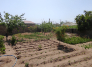 Satılır 10 sot torpaq Sumqayıt